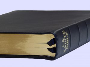 Textes Reçus Français (FTR) bible 2014: revision de la Bible Ostervald de 1744