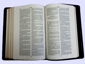 Textes Reçus Français (FTR) bible 2014: revision de la Bible Ostervald de 1744